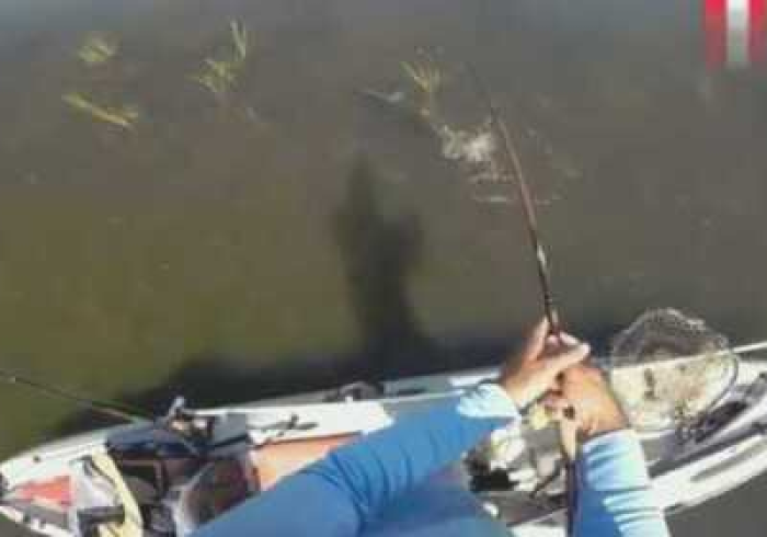 开挂辅助工具“微乐内蒙古麻将万能开挂器(透视)详细开挂教程玩法