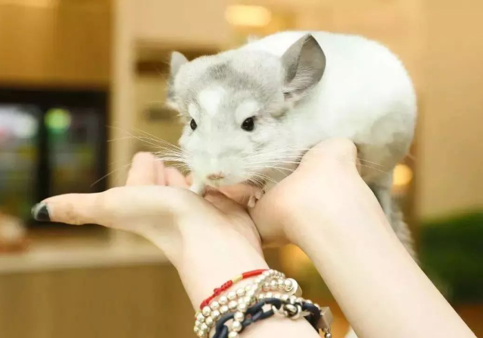 (实测辅助推荐)wepoker透视挂作弊挂透视挂(必备神器)”其实真的确实有挂 (实测辅助推荐)wepoker透视挂作弊挂透视挂(必备神器)”其实真的确实有挂