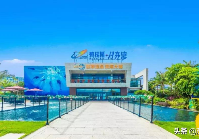 【 第 一 发 现 】 “ 攀 枝 花 棋 牌 可 以 调 胜 率 嘛 ” - 揭 秘 开 挂 教 程 分 享