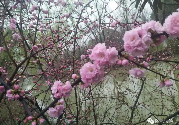 【 今 日 头 条 】 “ 镇 雄 关 春 天 一 直 输 怎 么 办 ” ( 其 实 是 有 挂 ) 【 今 日 头 条 】 “ 镇 雄 关 春 天 一 直 输 怎 么 办 ” ( 其 实 是 有 挂 )