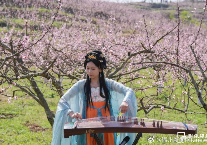 必看教程“桃花源到底有没有挂”开挂步骤方法